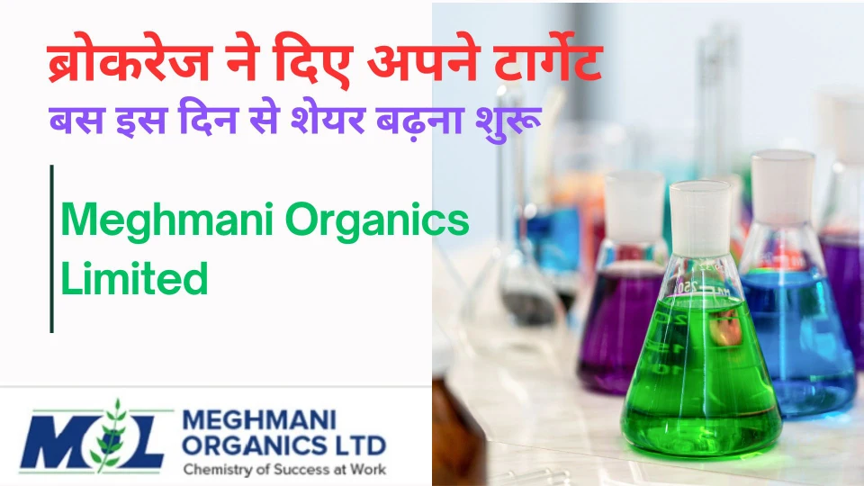 Meghmani organics ltd